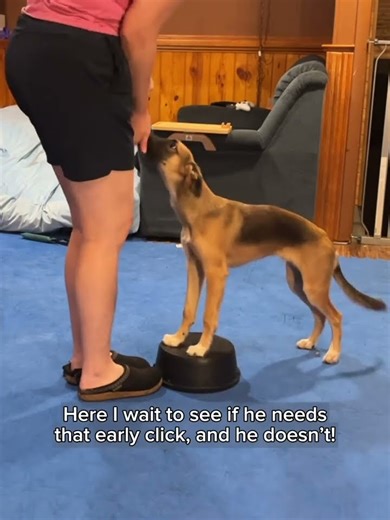 Front Pivots: Catch Up to Front Game! | Ravi on the Perch