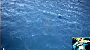 Giorgio Moroder - Evolution 1978