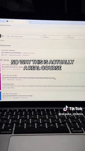 Exploring the Sociology of Bojack Horseman Course