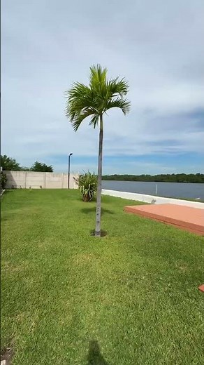 $100 Bayfront Airbnb in El Salvador 🇸🇻 | 3 Bedroom Costa del Sol Beach House Tour