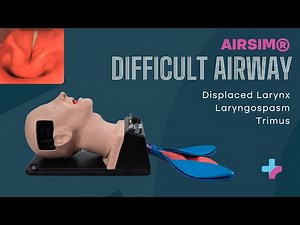 AirSim® Difficult Airway | Advanced Difficult Airway Management Training Manikin