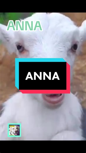 Funny Talking Lamb Video Tag Your Friend Anna