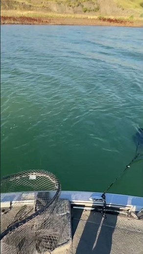 There's still time to get on Lake Oahe, and catch some South Dakota Walleye! Visit our page #fishing