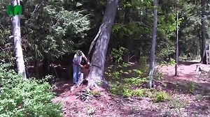 Tree fails and idiots with chainsaws - EPIC FAIL Compilation. Part 6 - Dailymotion Video