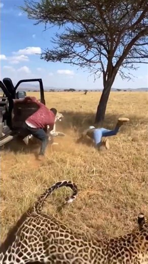 ۱ ژانویهٔ ۲۰۲۶