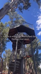 No visit to Wentworth Shire is complete without stopping to see where Australia’s two longest rivers - the Murray and the Darling meet. What an incredible sight, the beauty and power of Mother Nature in one of the most magnificent parts of NSW. Helen Dalton MP #wentworthshirecouncil #darlingriver #murrayriver | Ron Hoenig MP