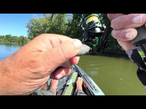 River Smallmouth on a HOVER RIG?! Insane Bite You NEED to See (Best Finesse Bass Technique 2026)!
