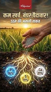 DAP छोड़िए 😲 SSP अपनाइए ✅ संतुलित पोषण का राज | Single Super Phosphate Fertilizer Benefits | #shorts
