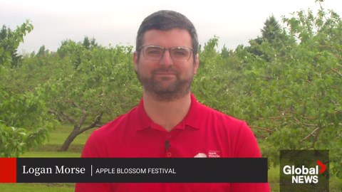 90 Years in Bloom: Apple Blossom Festival celebrates historic milestone