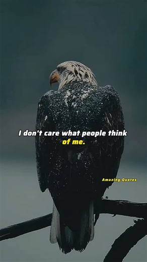 Amazing Motivation | Like and share ❤️. Like 💜 and share with your friends and family ❤️ Follow @amazingquotes_7 to build your best version. | Instagram