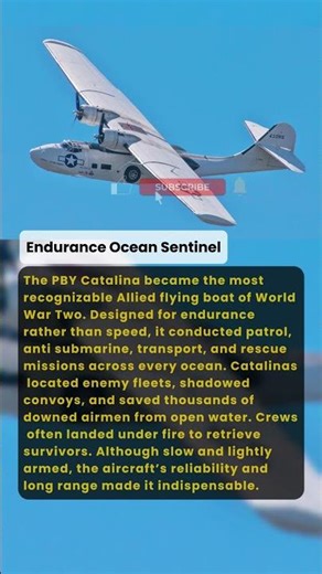 Endurance Ocean Sentinel