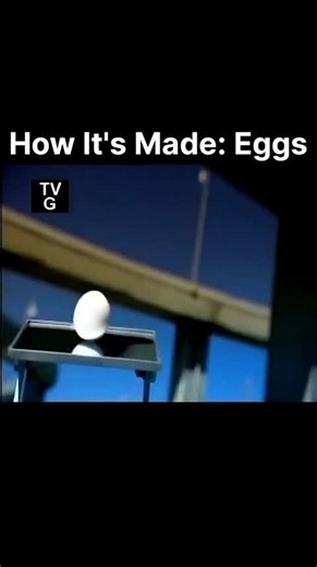 How It's Made: Eggs — Behind the Egg Factory Process