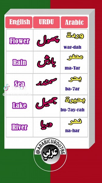 Arabic Words with Urdu Meanings | Learn Vocabulary Easily