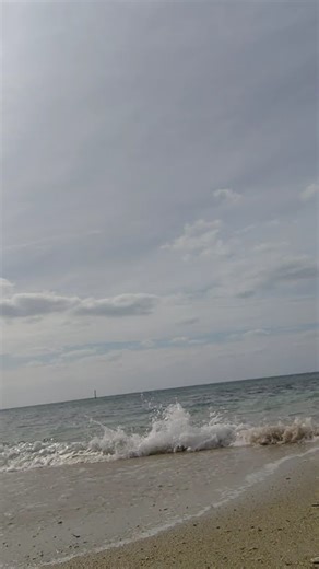 TUNAMI サザンオールスターズ#shorts