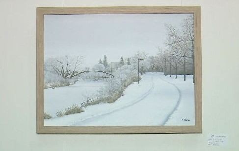 Aurora Art Guild spotlights local artists