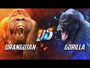 Gorilla Power Unleashed