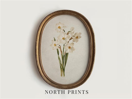 December Birth Flower Art, Narcissus Floral Nursery Wall Decor, Botanical PRINTABLE Digital Download North Prints 12-71 - Etsy