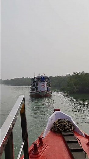 Sundarban Mangroves, Rivers & Wildlife #sundarban