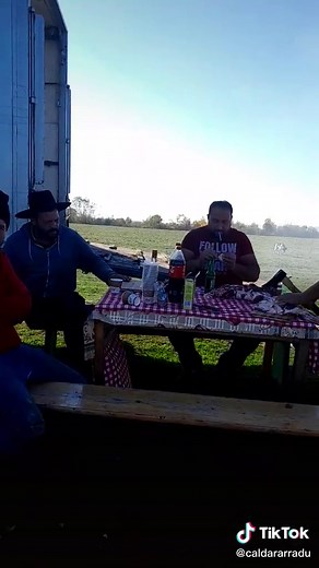 Videoclipuri postate de căldărar radu1 (@caldararradu1) cu sunet original - Ghita Codrea