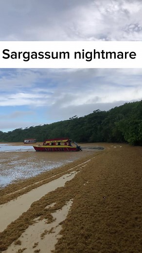 #CapCut#tobagofun#tobago#fyp#viral#viralvideos#following#foryou#explore#taxi#tourism#thingstodointobago#destination#holiday#travel#cruise