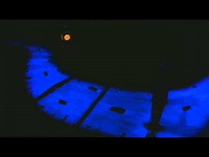 Peter Pan's Flight at the Magic Kingdom (2013)