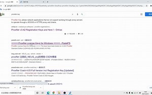 windows代理管理--Proxifier