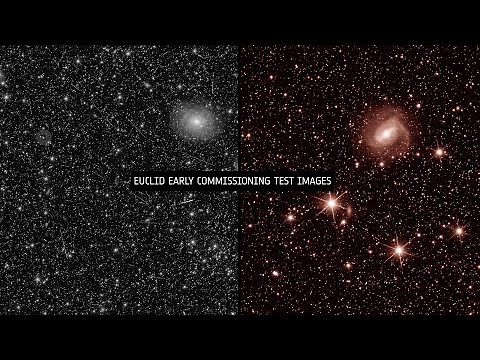 Euclid First Light Images