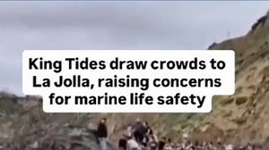 King Tides returned to the San Diego coastline over the weekend, drawing large crowds who were tidepooling, as well as surfers. | CBS 8 San Diego