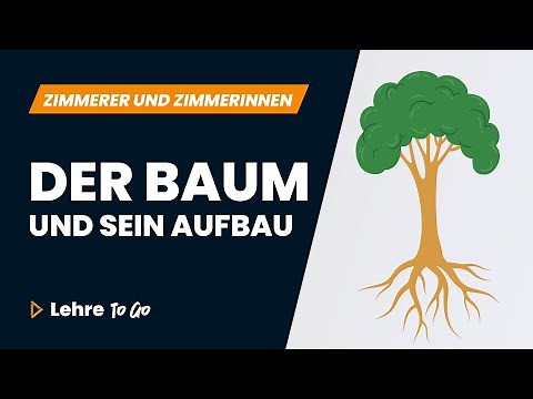 Der Baum und sein Aufbau | Lehre To Go