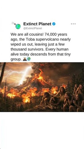 We nearly went extinct! Only a few survived. 🌋🏃‍➡️ #prehistoriclife #volcano #surprisingfacts xyz