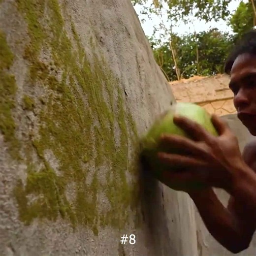 Watch this jungle pool get made from scratch!