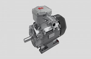 [Hot Item] 15kw Atex Certified Three Phase Dust Explosion Proof Induction Motor