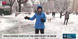 48K views · 1.2K reactions | This dog *really* wanted to be in Jen Carfagno's live shot! ❄️ Watch until the end for the cuteness you needed this Friday  | The Weather Channel | Facebook