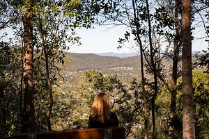 Keperra Bushland Reserve Keperra | Must Do Brisbane