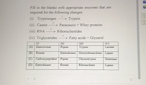 Fill in the blanks with appropriate engymes that are reguired f... | Filo