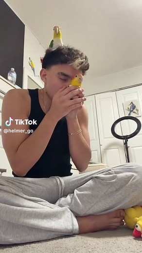 Caique Parrot Tutorial: Mastering the Toco Toco Trend