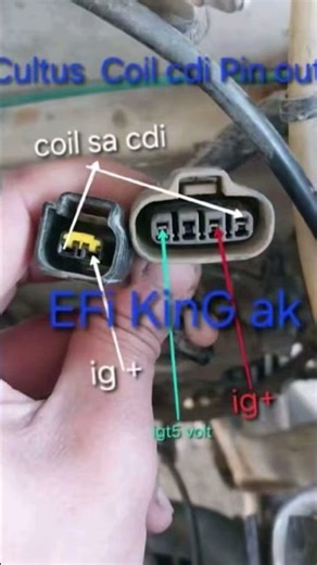 cultus CDI unit pin out connection #cdidcinematic #connection #pinout #automotive #modified #cardoor