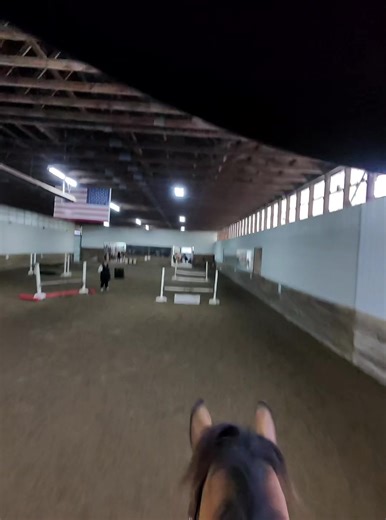 Enjoying Lessons with My Green Horse