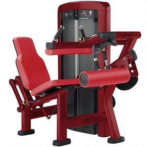 [Hot Item] Gym Fitness Equipment Body Building Pin Loaded Insignia Series Leg Curl Machine