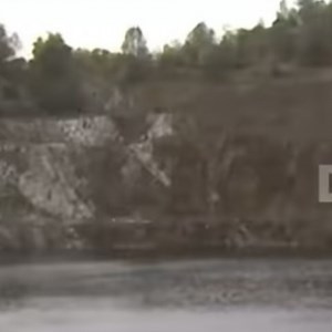 Tory Belleci on Reels