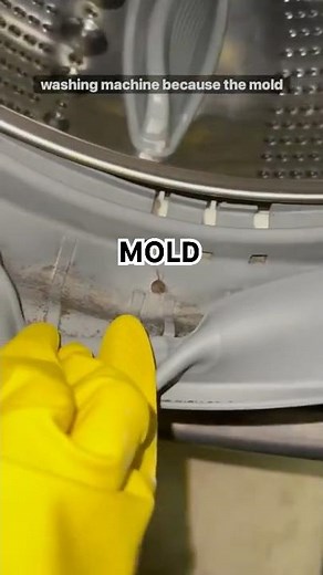 How I Finally Beat Mold In My Washer!