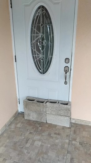 Monica Brown on TikTok