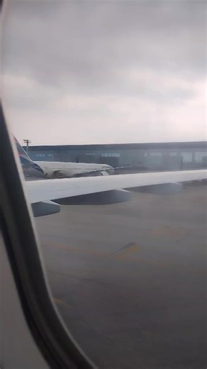 #المسافر #البرازيل #الجزائر