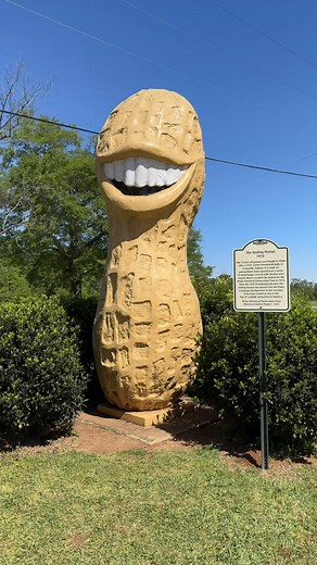 Did I find the world’s biggest peanut?! Huge Peanut found in Plains Georgia | Adventures Into History