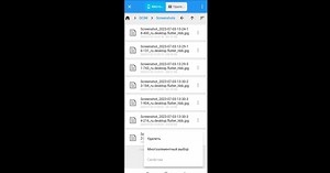 Download and run RuDesktop on PC & Mac (Emulator)