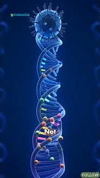 What Is a Mutation? Silent, Missense & Nonsense Mutations Explained 🧬
