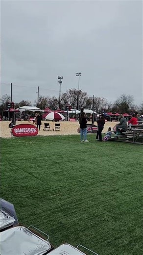 Gamecock volleyball! Pulled pork, chicken, hotdogs, nachos, and baked bean #iammrsteele3000 #shorts