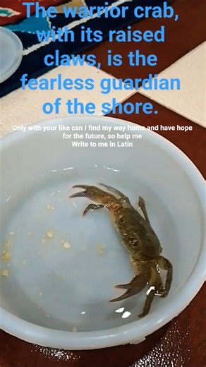 ۳۱ اکتبر ۲۰۲۵