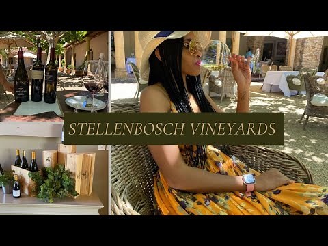 Cape Town Wine Tasting| Stellenbosch| Vineyard Tour & Review