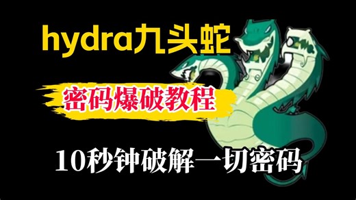 【2026最新Hydra九头蛇教程】10秒钟破解一切账号密码，Hydra傻瓜教程，通俗易懂，草履虫都能学会！